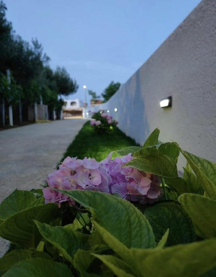 Apartment 4Reasons Ražanac Εξωτερικό φωτογραφία